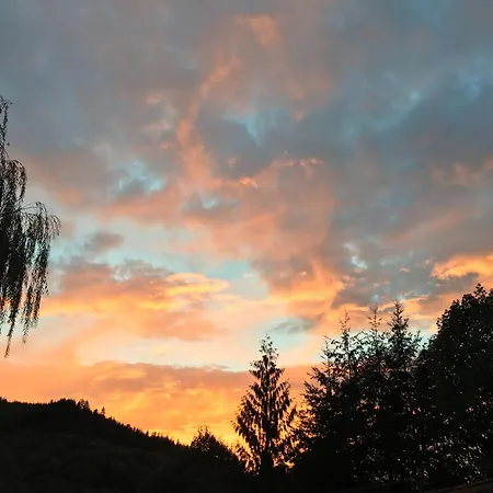Apartament Sonnenhof - Kombination Ottenhöfen im Schwarzwald