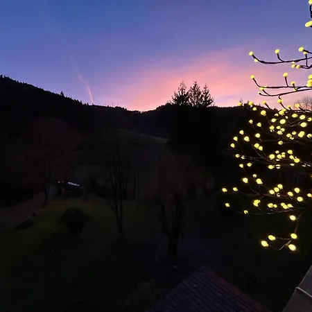 Sonnenhof - Kombination Apartment Ottenhofen im Schwarzwald